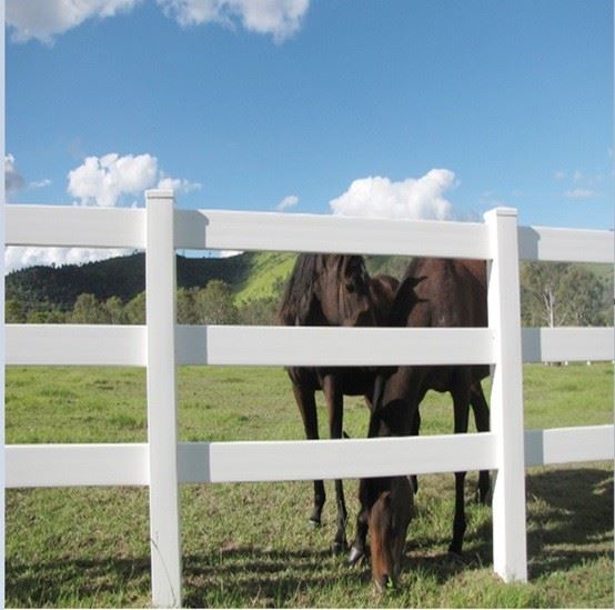 PVC Horse Fencing