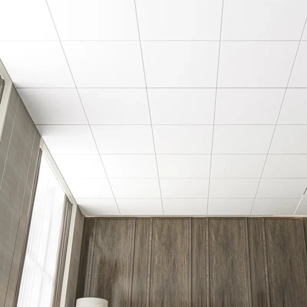 Cheap Plastic Ceiling